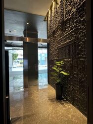 Skysuites@Anson (D2), Apartment #545301641